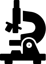 no-search-found